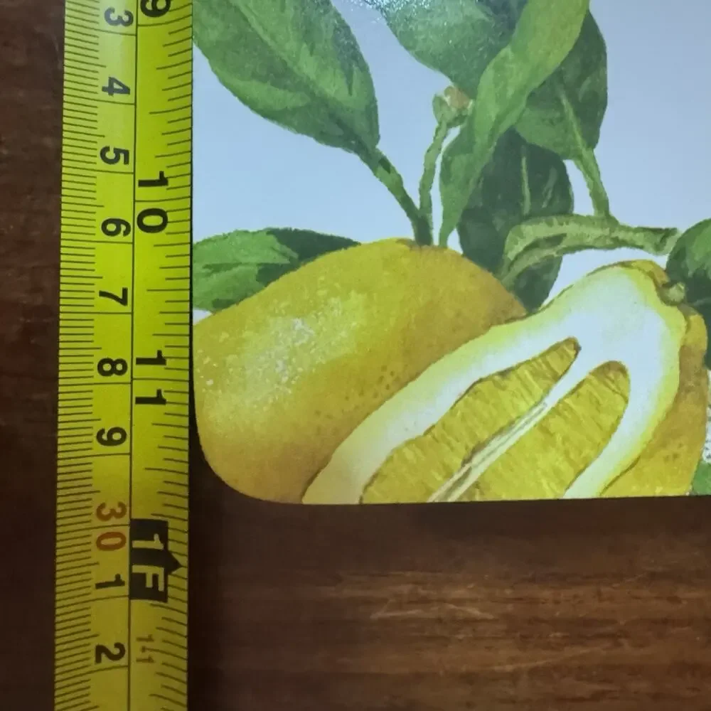 Vintage Lemon Cork Backed Placemats Set of 4 Fruit Citrus Kitchen Decor Summer